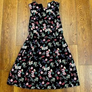 Gap Sleeveless Print Fit and Flare Dress